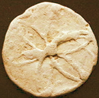 lead token